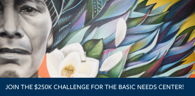 main story image for new york metro edition